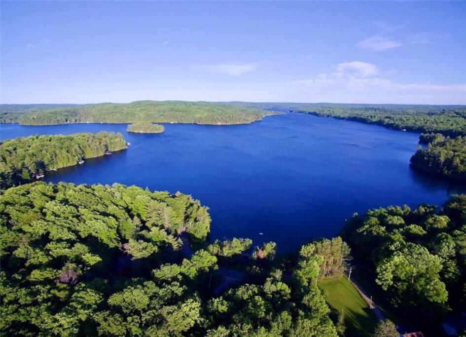 Вілла Muskoka Manor Dwight Екстер'єр фото